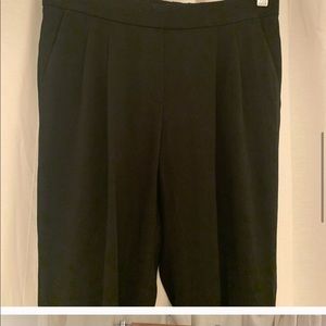 Aritzia Babaton Japanese Crepe Pants